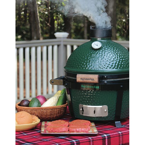 Big Green Egg Max Mini San Diego Hot Spring Spas